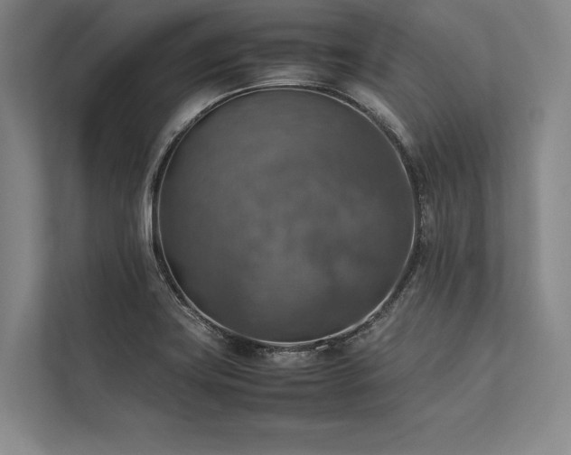 X0000113781419200909231306