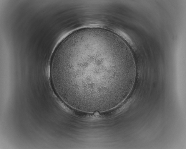 X0000113781420200909231306