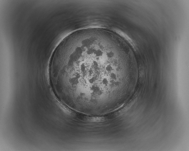 X0000113781423200909231306