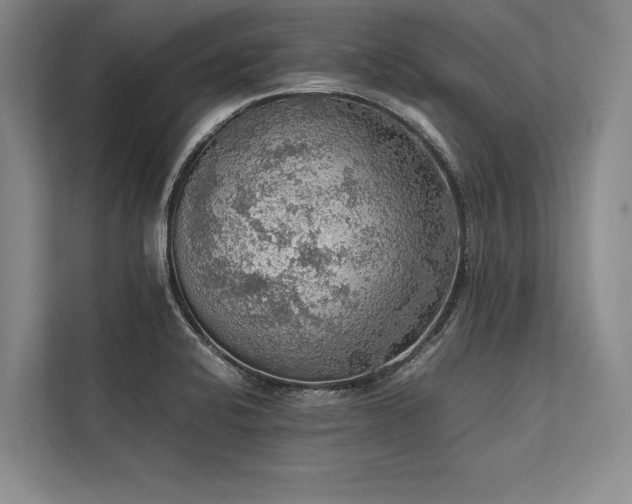 X0000113781424200909231306