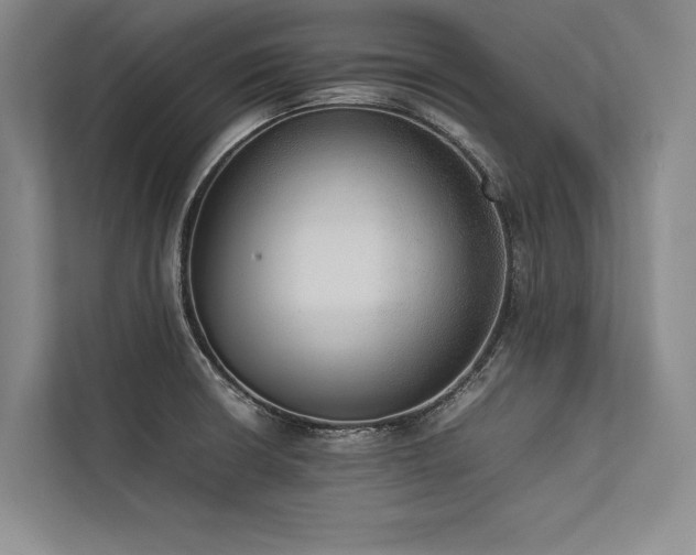 X0000113781426200909231306