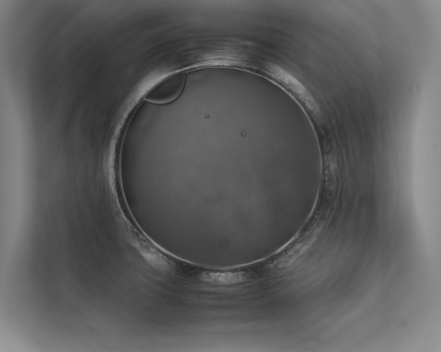 X0000113781427200909231306