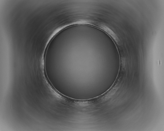 X0000113781428200909231306