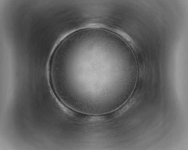 X0000113781430200909231306