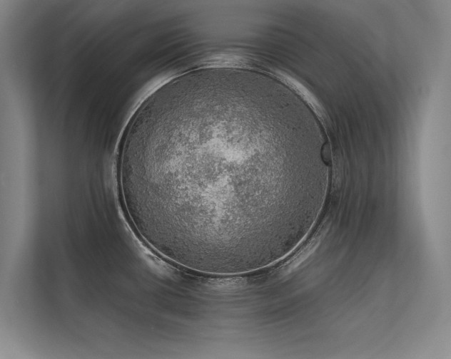 X0000113781434200909231306