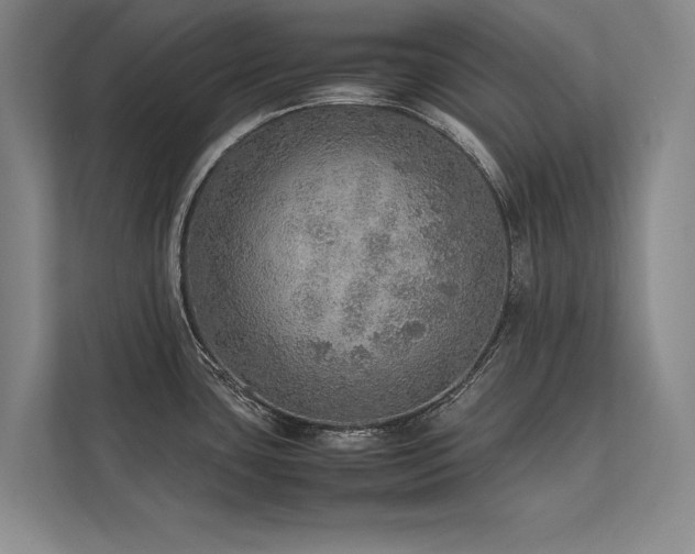 X0000113781435200909231306