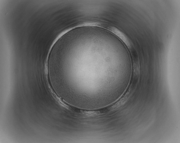 X0000113781436200909231306