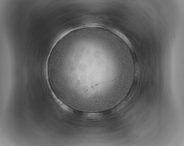X0000113781439200909231306