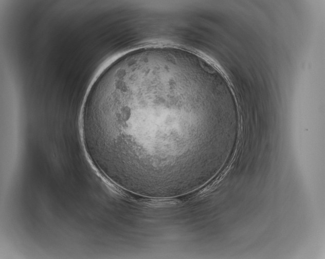 X0000113781440200909231306