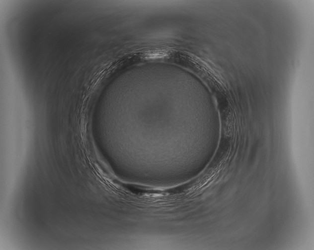 X0000113781441200909231306