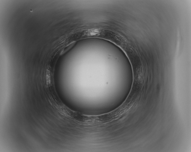 X0000113781442200909231306