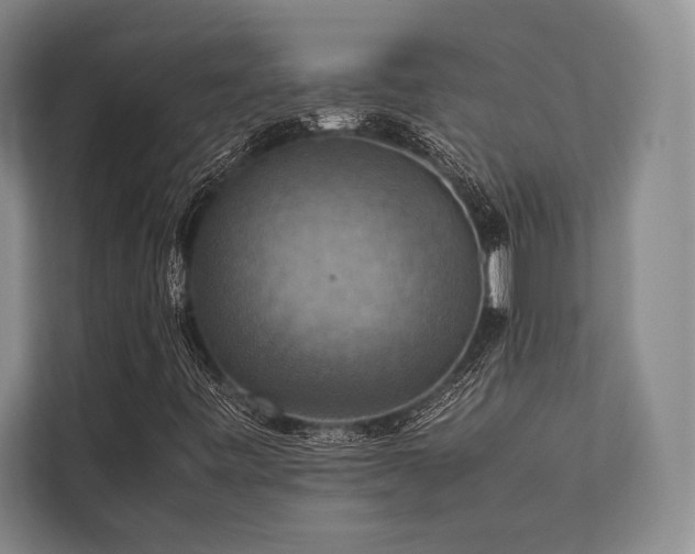 X0000113781443200909231306