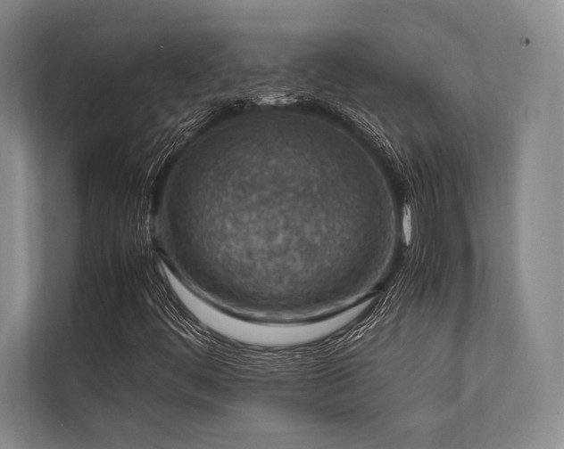 X0000113781444200909231306