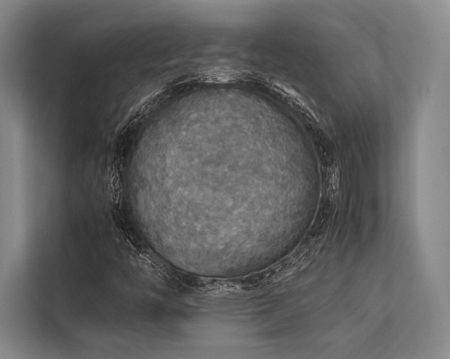 X0000113781446200909231306
