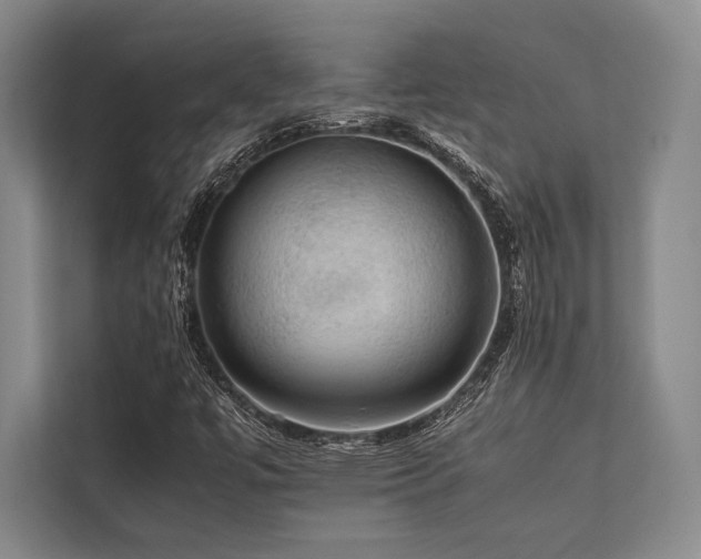 X0000113781447200909231306