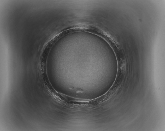 X0000113781448200909231306