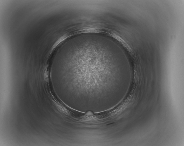 X0000113781450200909231306