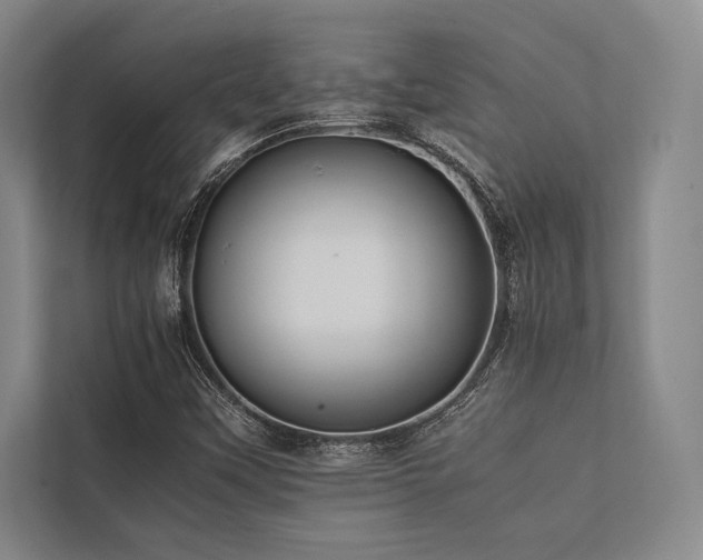 X0000113781451200909231306