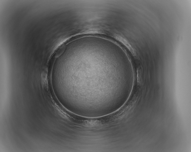 X0000113781452200909231306