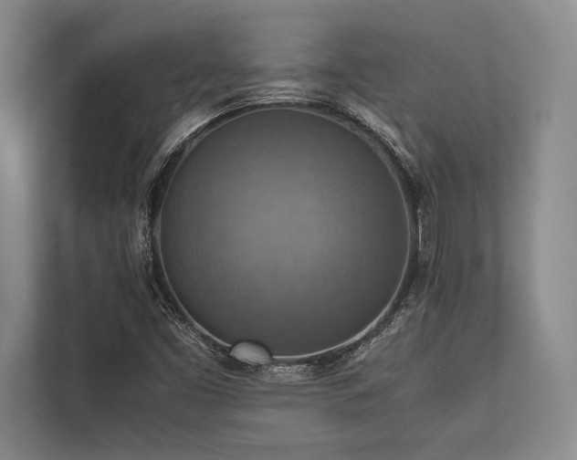 X0000113781453200909231306