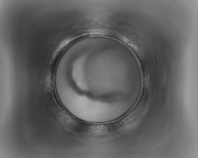 X0000113781454200909231306