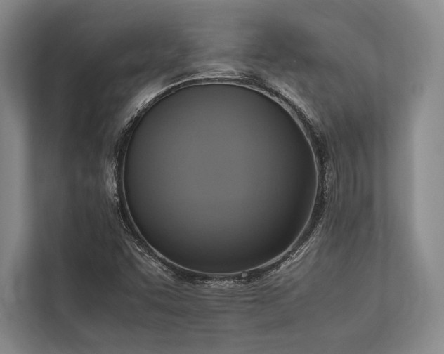 X0000113781455200909231306