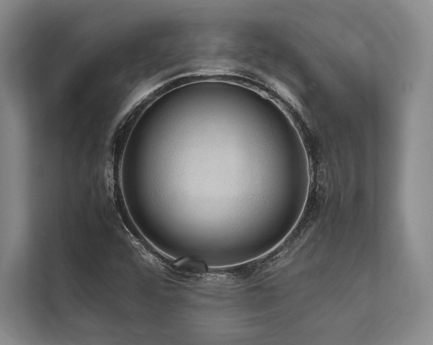 X0000113781456200909231306