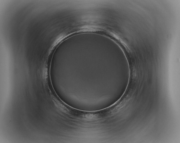 X0000113781459200909231306