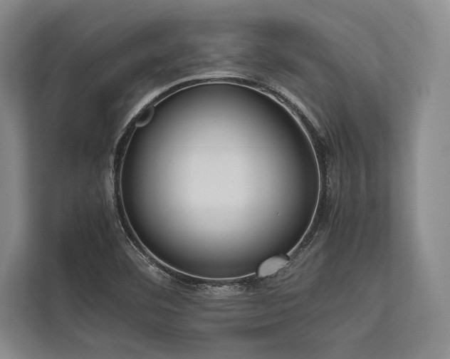 X0000113781460200909231305