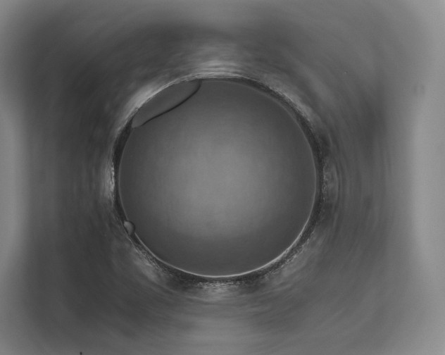 X0000113781461200909231305