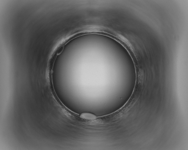 X0000113781464200909231305