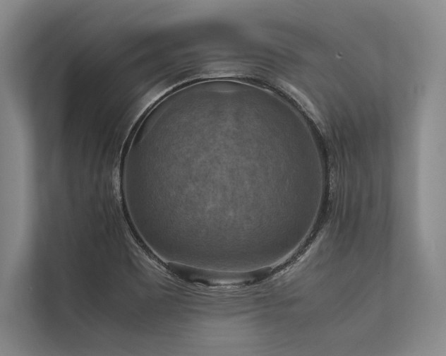 X0000113781465200909231305