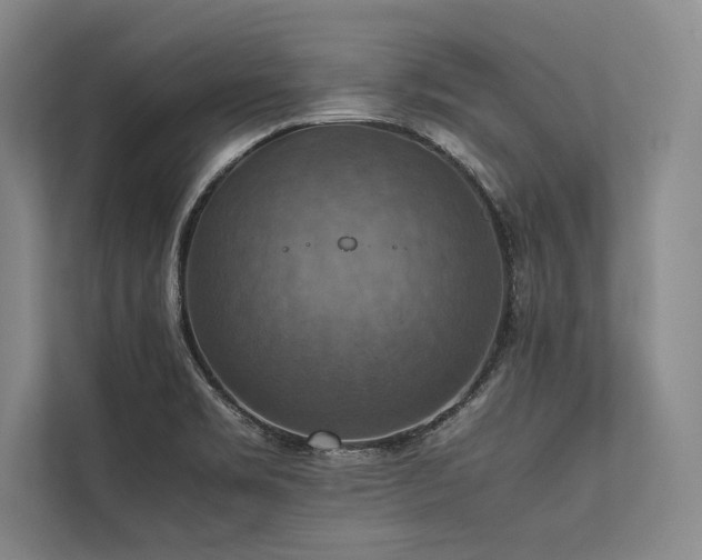 X0000113781469200909231305