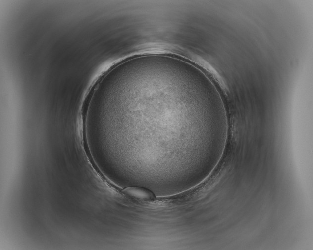 X0000113781472200909231305