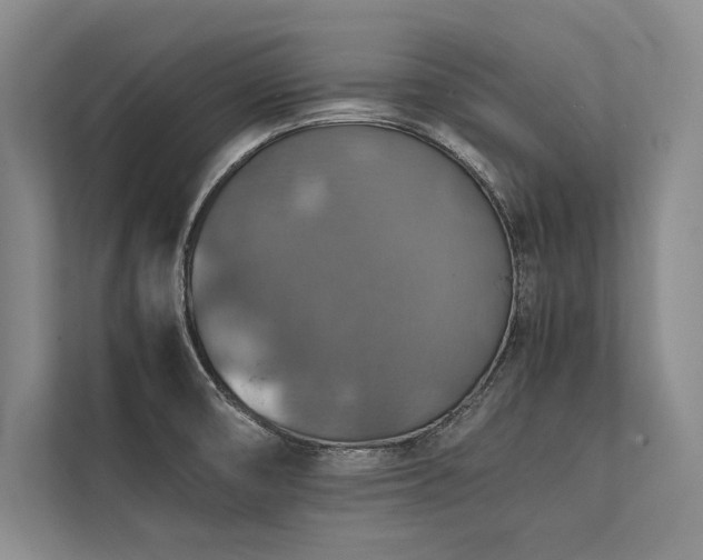 X0000113781474200909231305