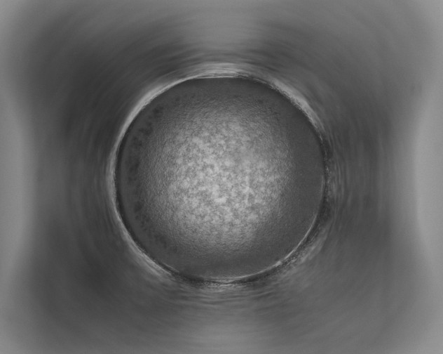 X0000113781475200909231305
