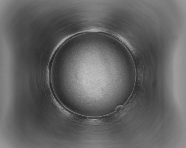 X0000113781476200909231305