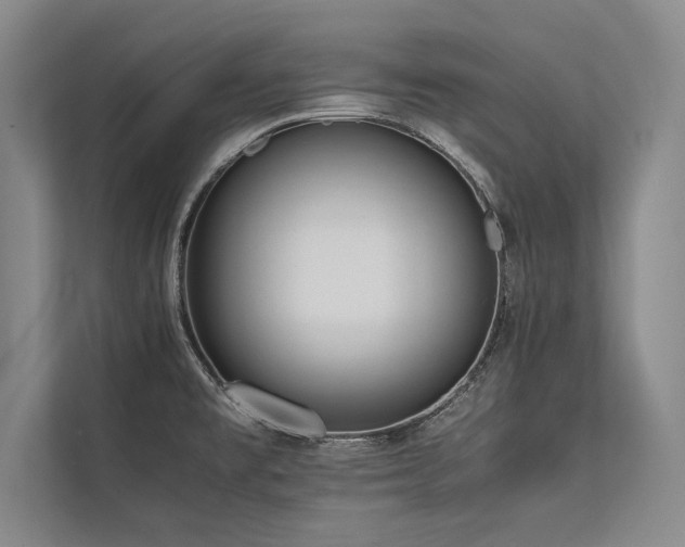 X0000113781477200909231305