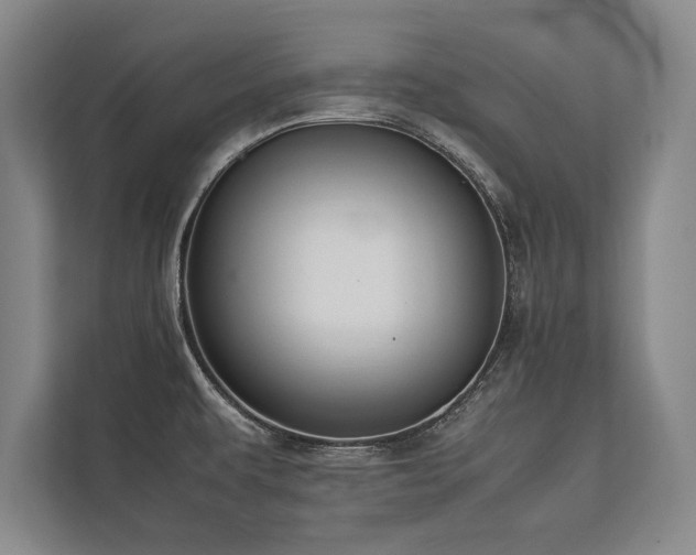 X0000113781479200909231305