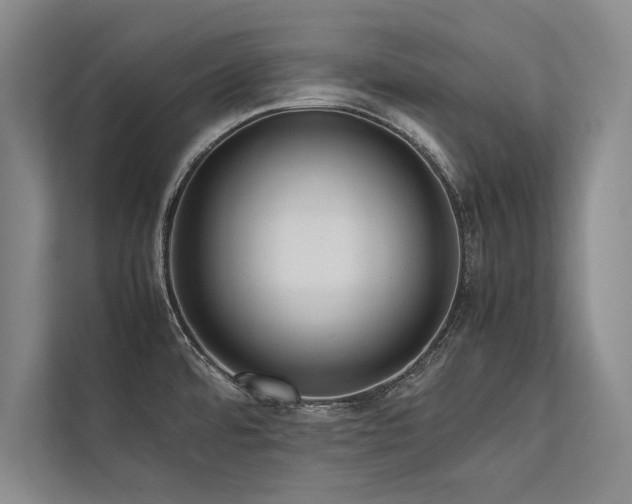 X0000113781480200909231305
