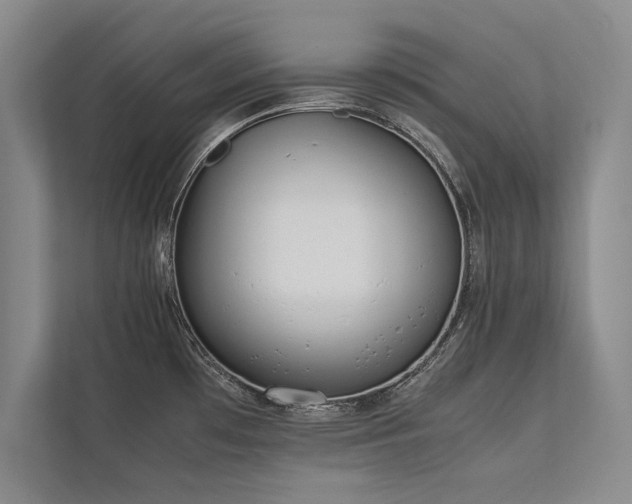 X0000113781481200909231305