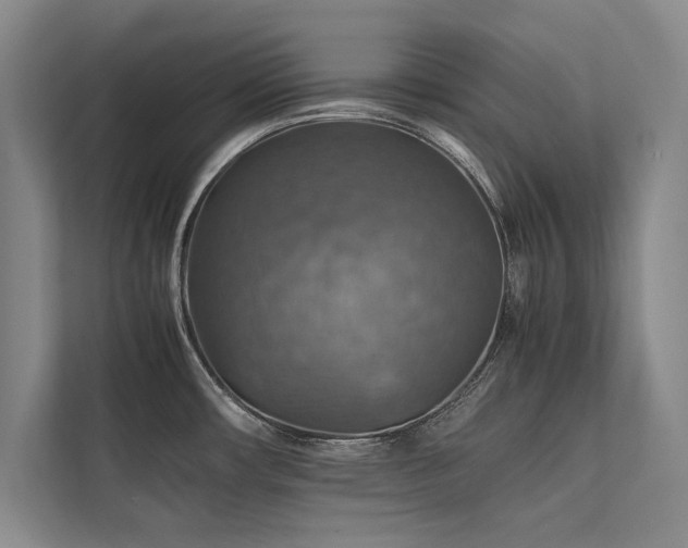 X0000113781482200909231305