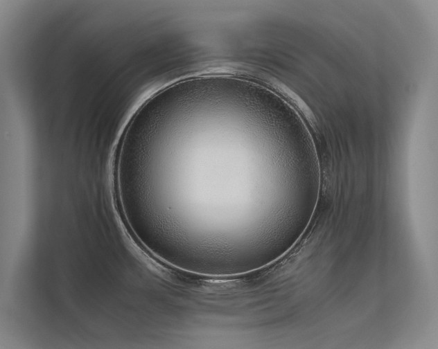 X0000113781483200909231305