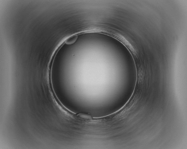 X0000113781484200909231305