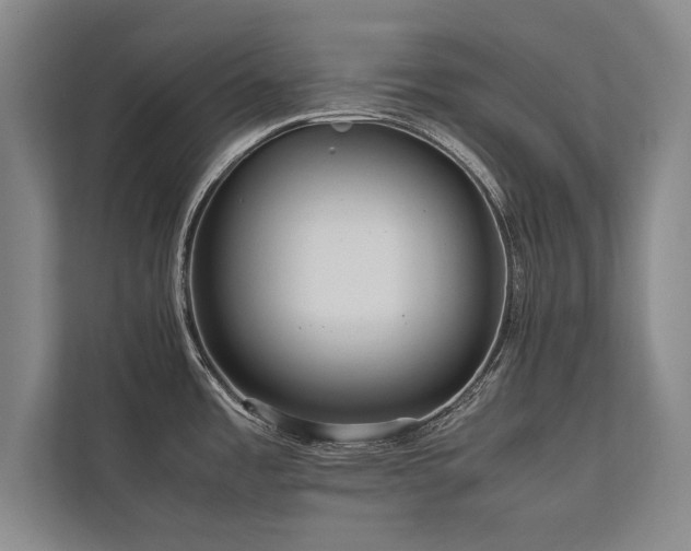 X0000113781485200909231305
