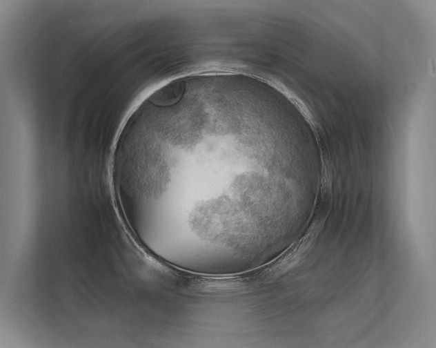 X0000113781486200909231305