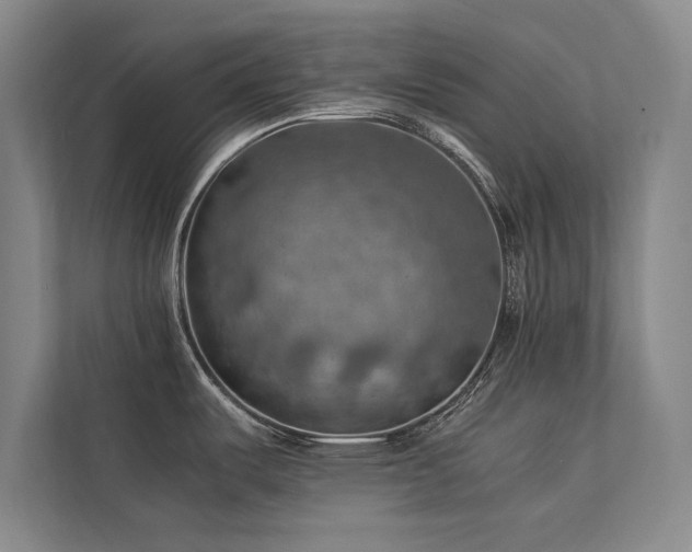 X0000113781487200909231305