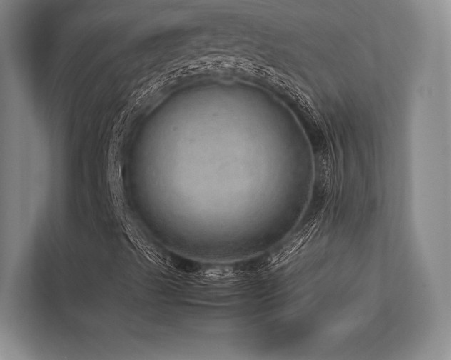 X0000113781489200909231305