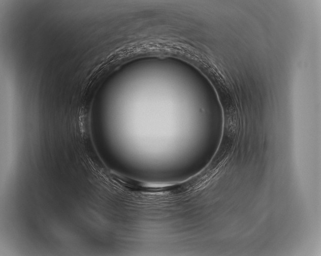 X0000113781490200909231305
