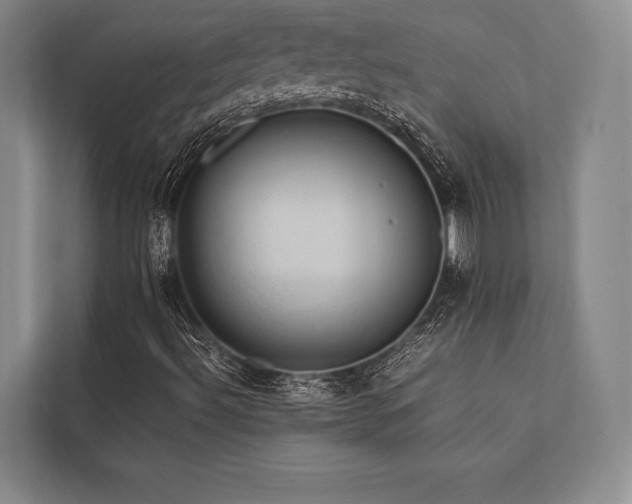 X0000113781492200909231305